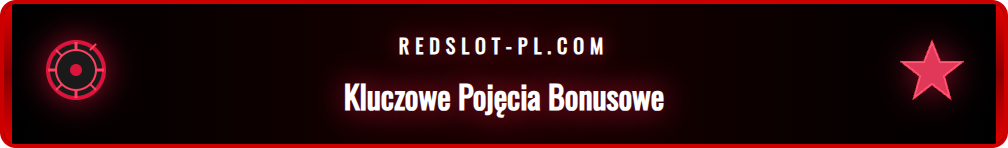 Grafika wyjaśniająca kluczowe pojęcia w warunkach bonusowych.